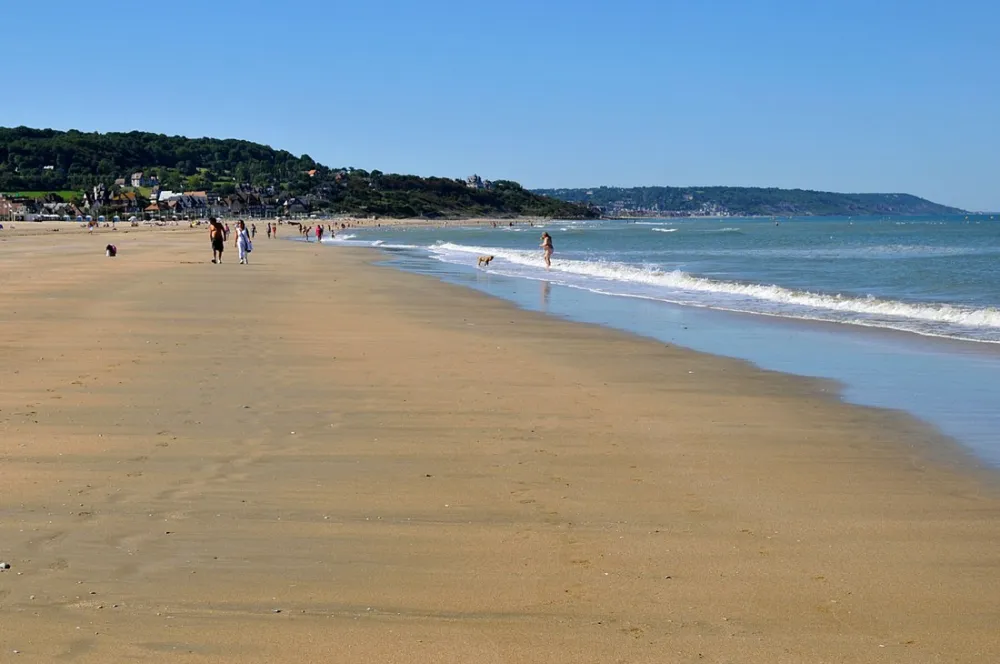 Municipal des Chevalliers