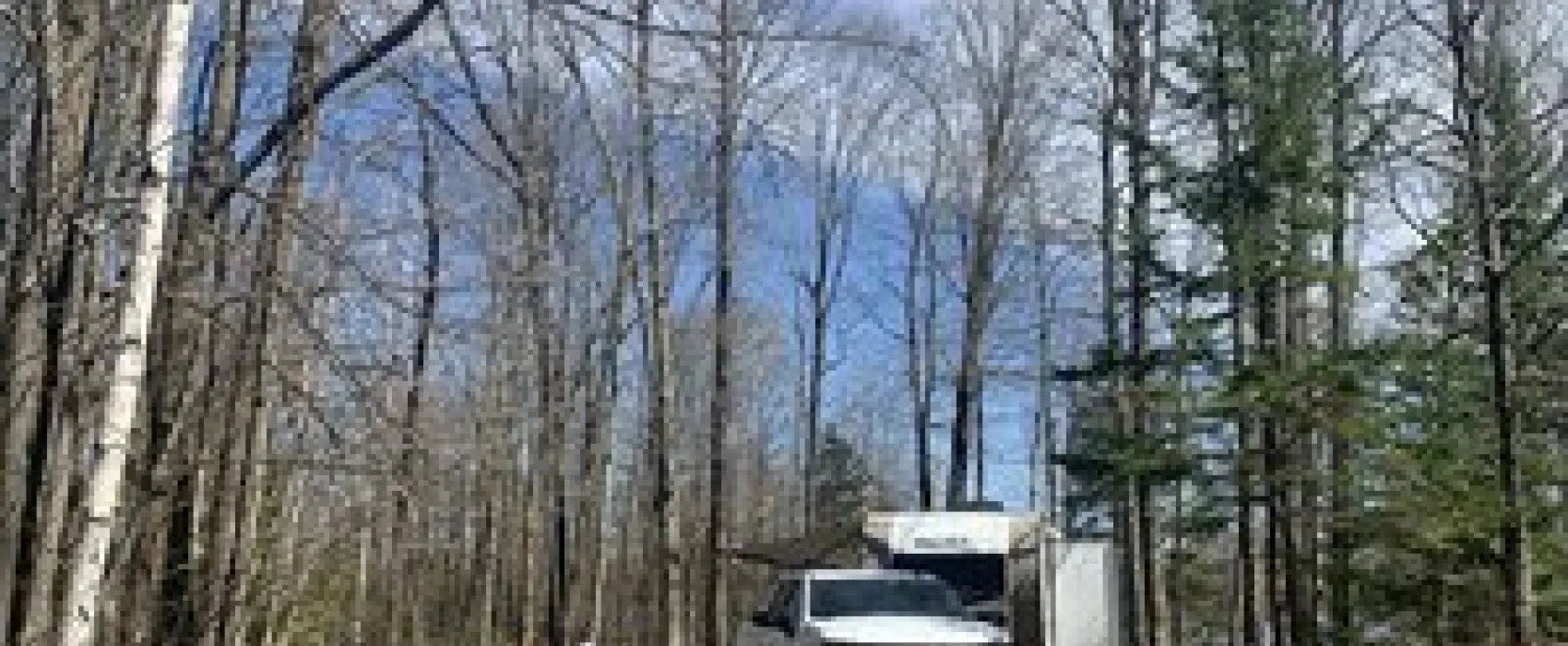 Patricia Lake Campground