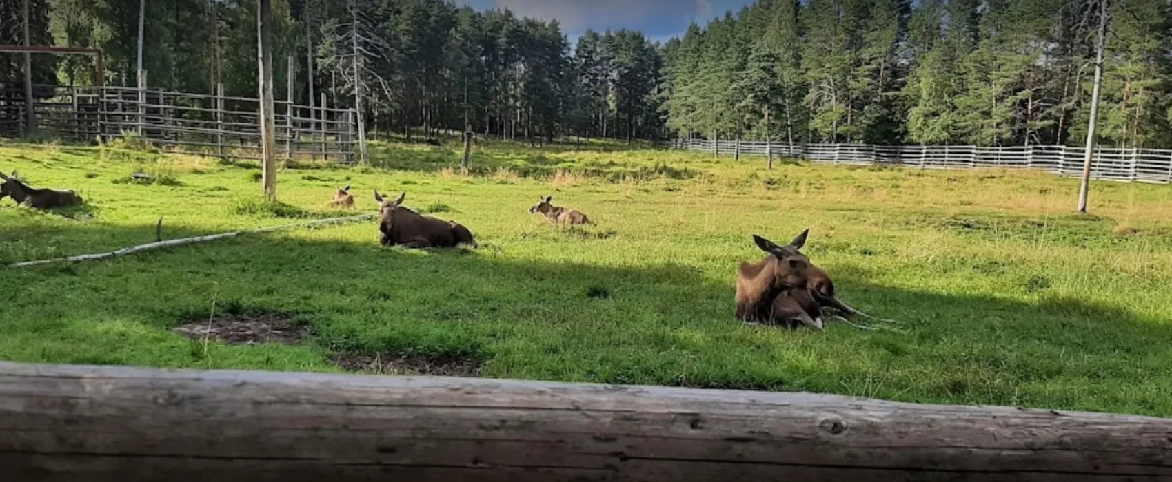 Ähtäri Zoo Camping