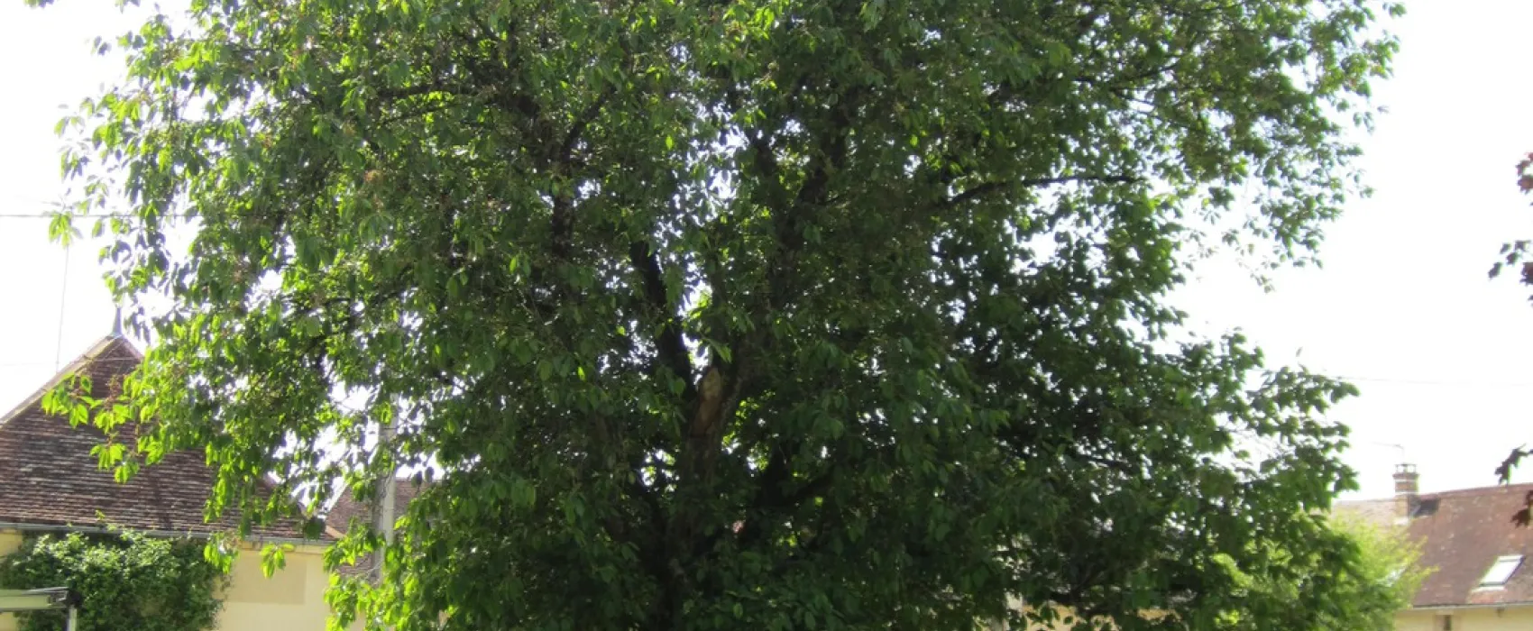 Ferme des Hauts Frenes