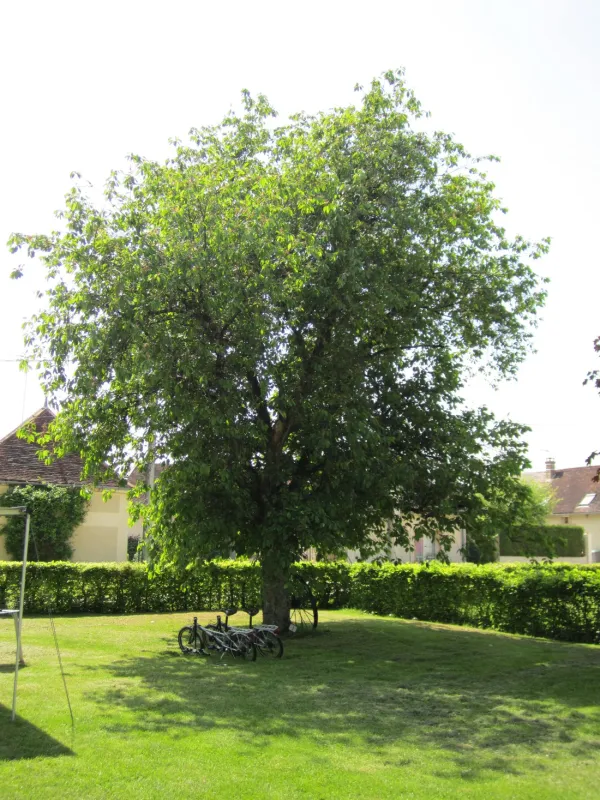 Ferme des Hauts Frenes