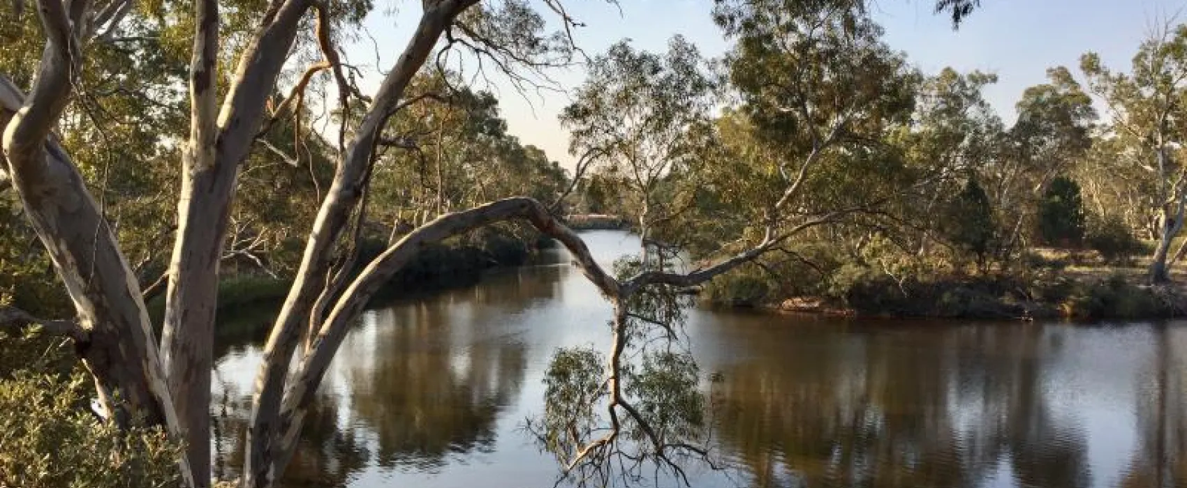 Horseshoe Bend Campground