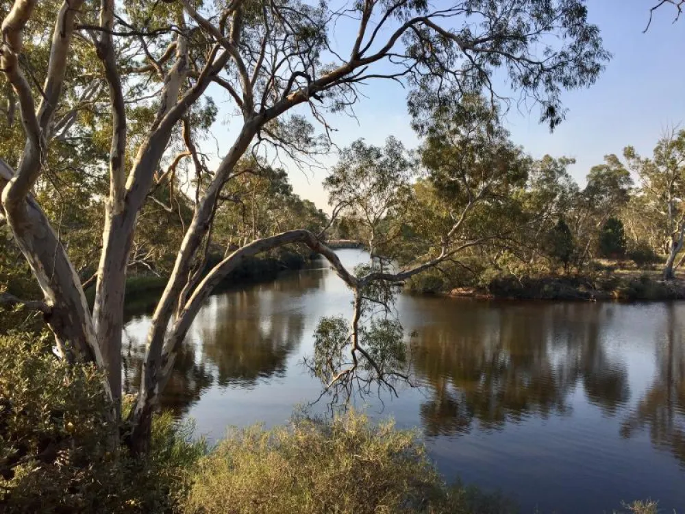 Horseshoe Bend Campground