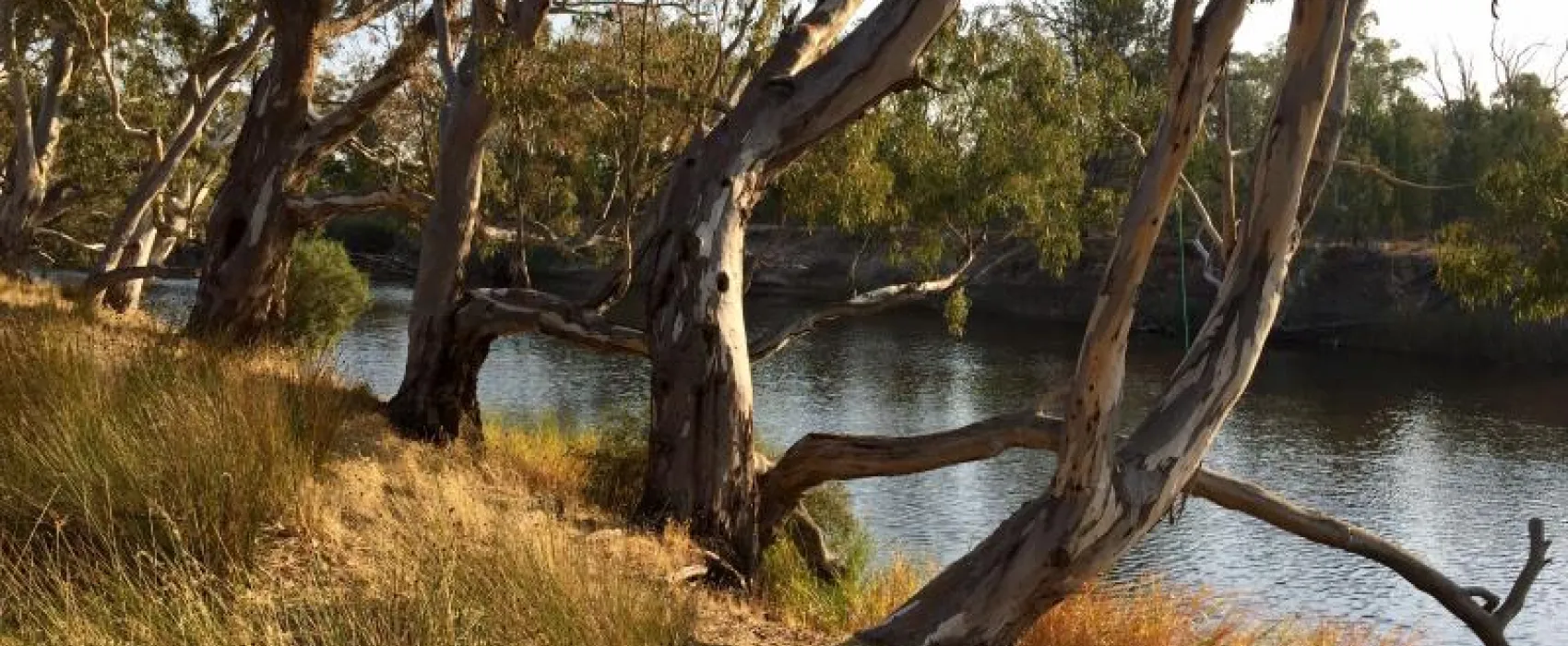 Horseshoe Bend Campground