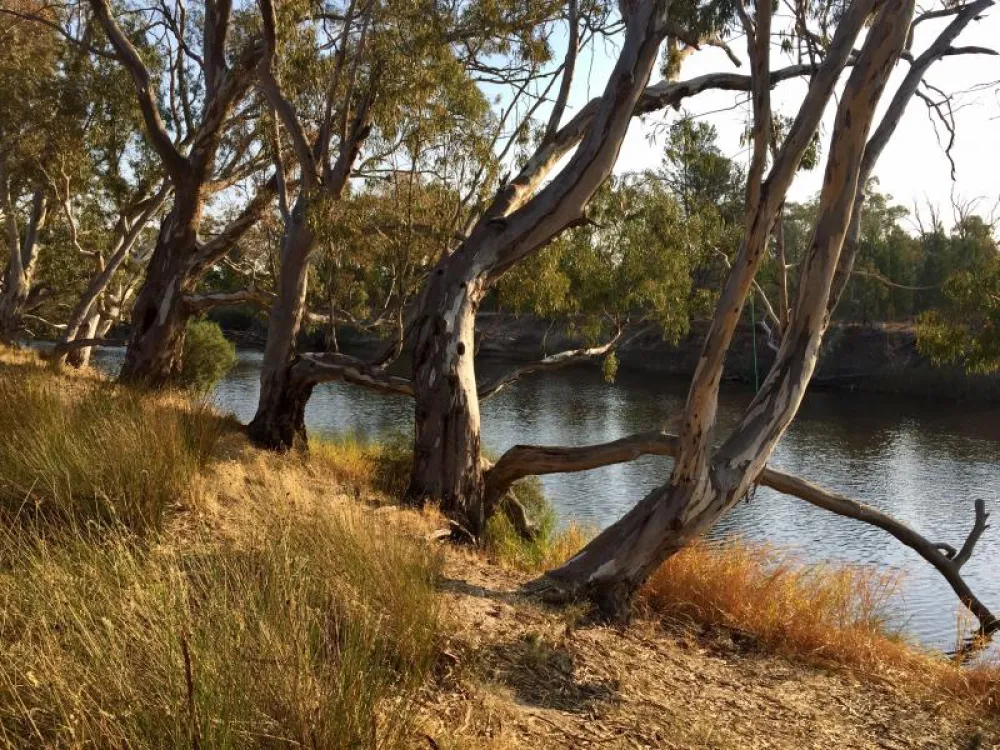 Horseshoe Bend Campground