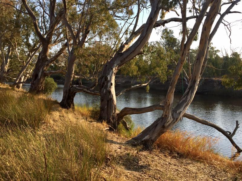Horseshoe Bend Campground photo 3