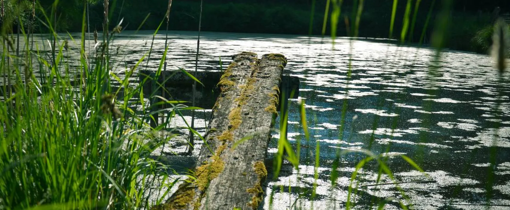 Campingplatz Heberbaude