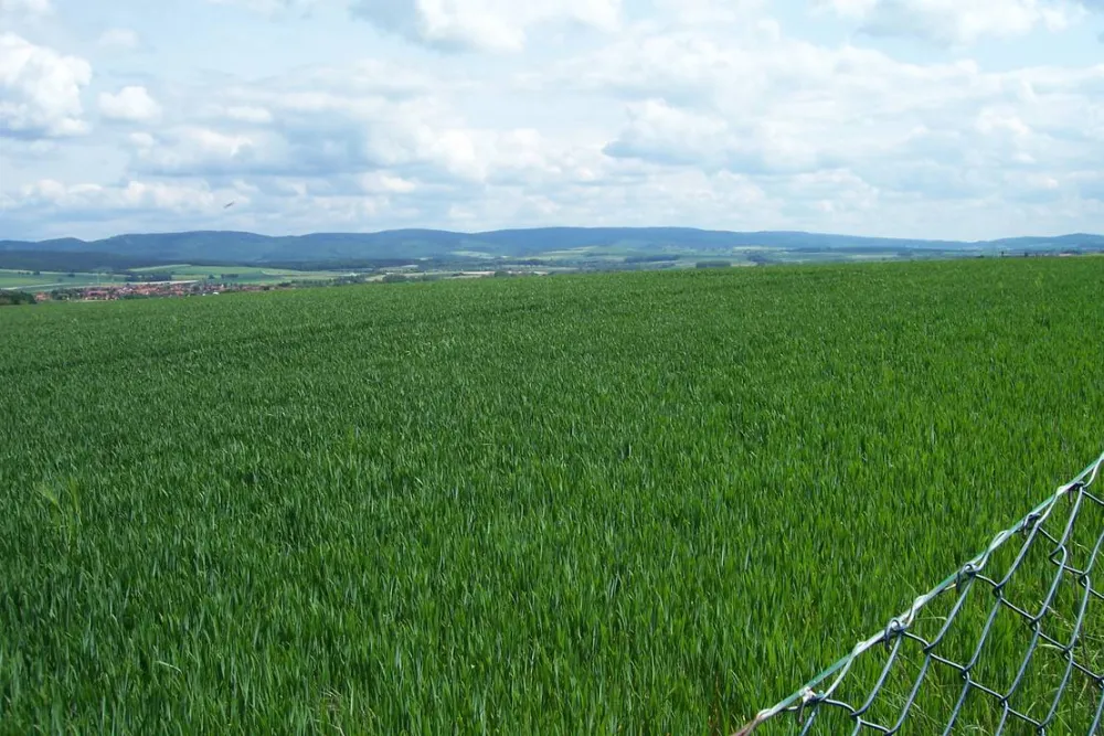 Campingplatz Heberbaude