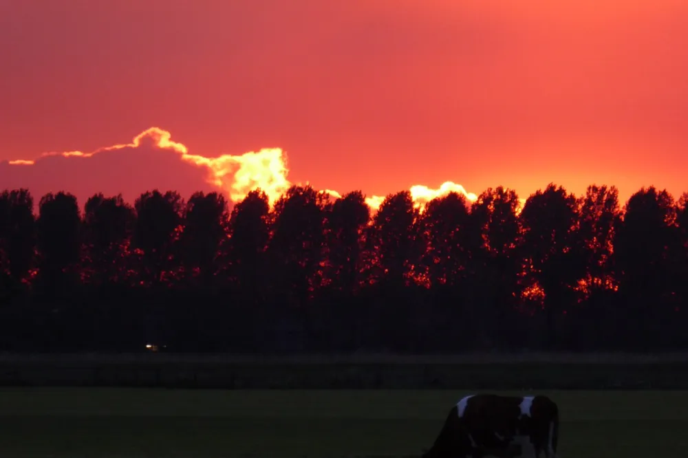 Boerencamping Manuel Hoeve