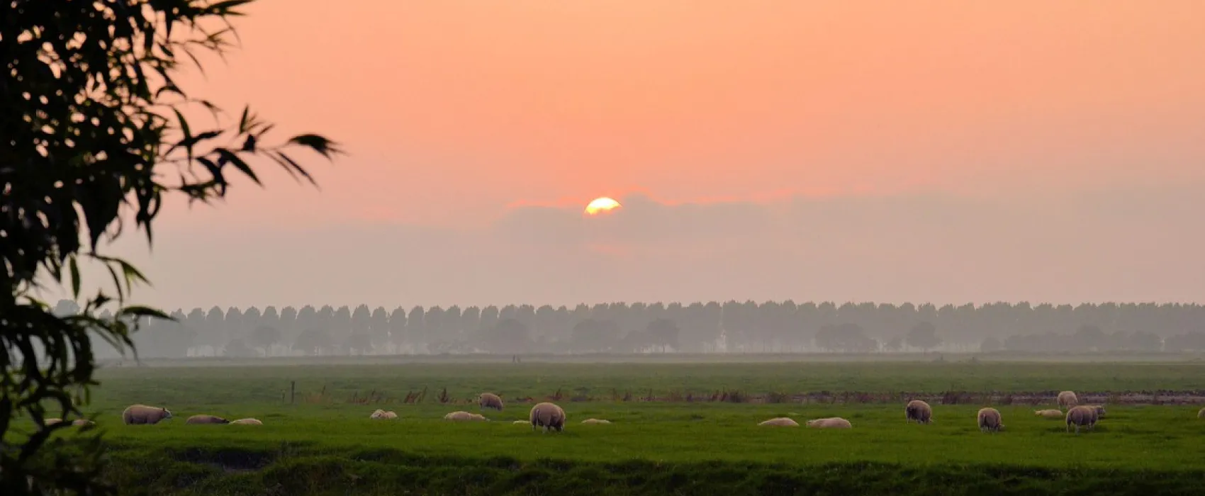 Boerencamping Manuel Hoeve