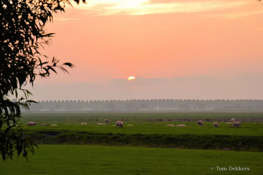 Boerencamping Manuel Hoeve