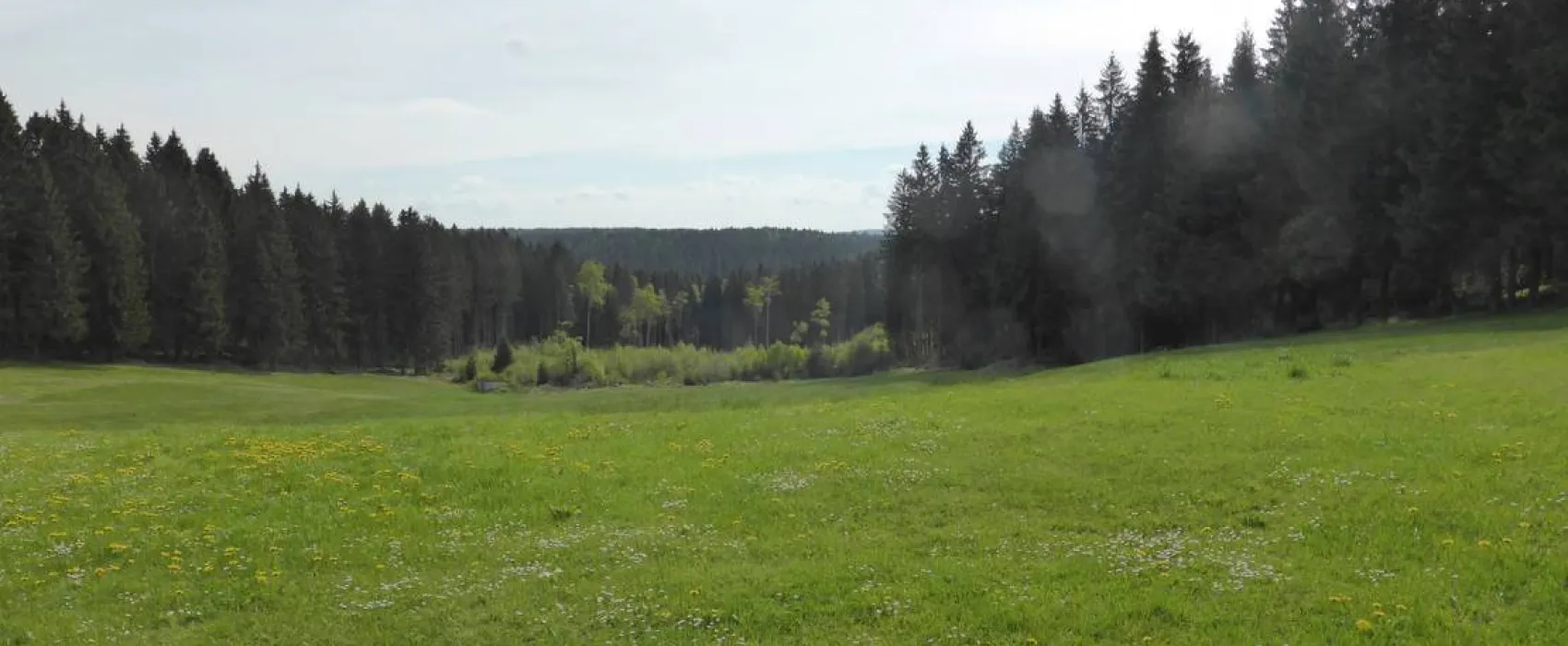 Campingplatz am Hofladen Grünheide