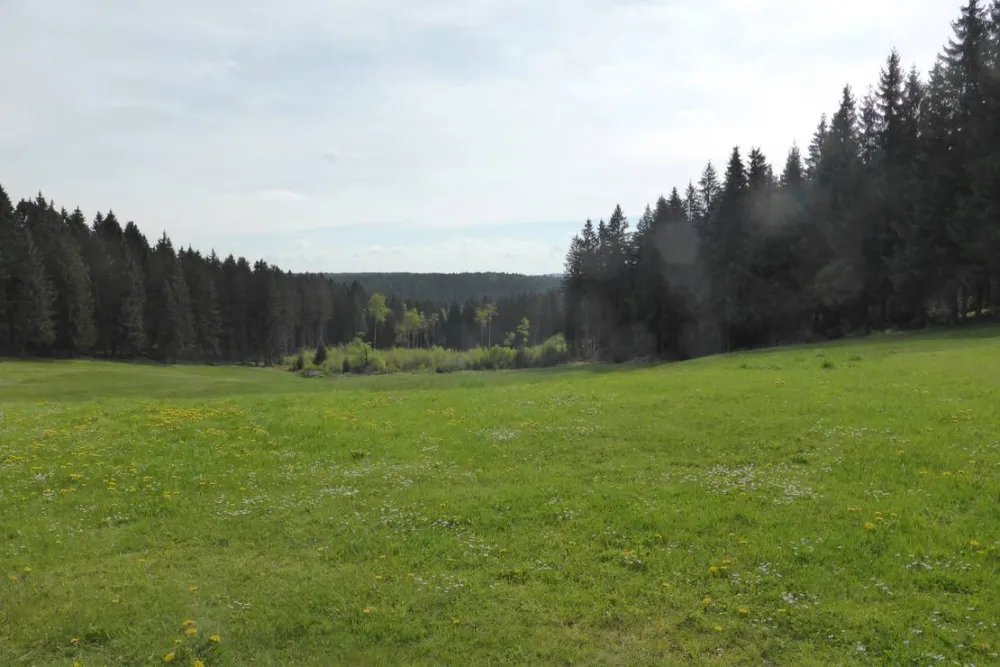 Campingplatz am Hofladen Grünheide