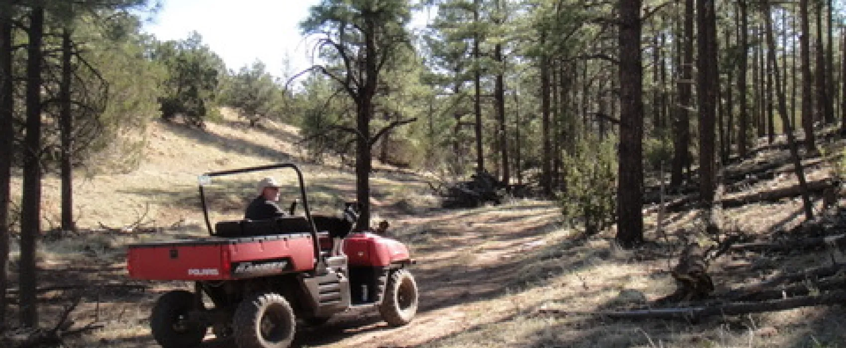 Arizona High Country Campground