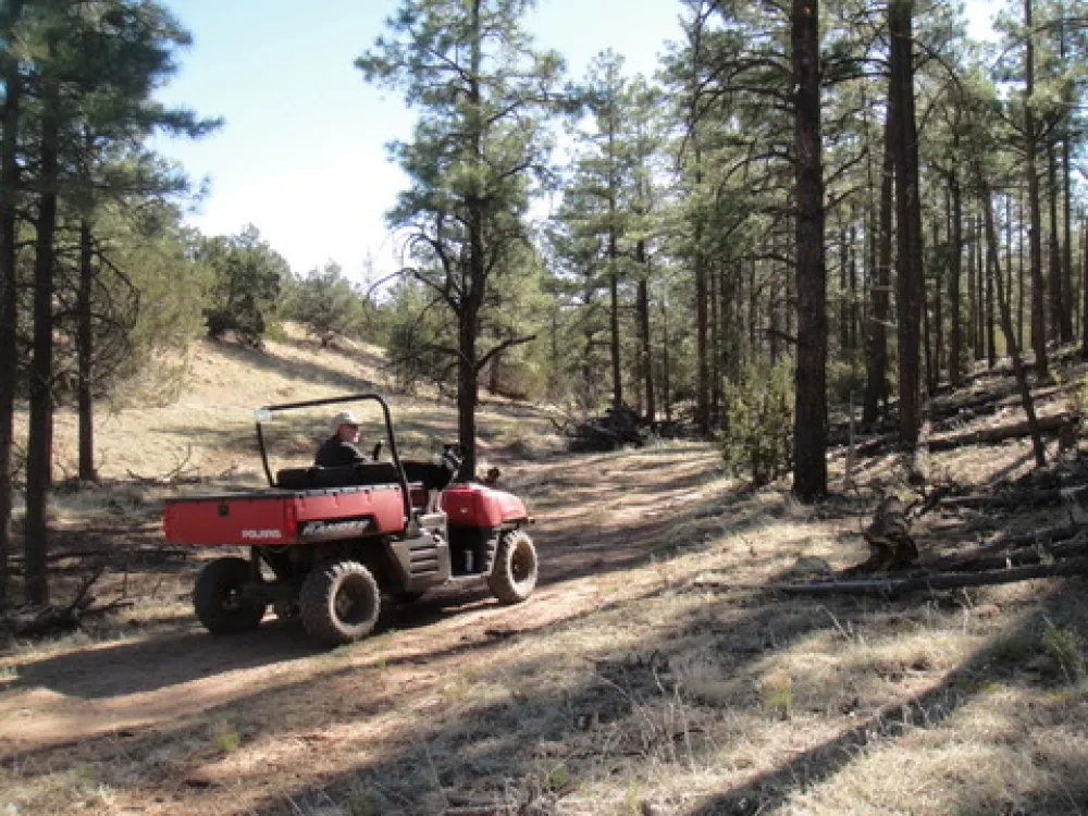 Arizona High Country Campground