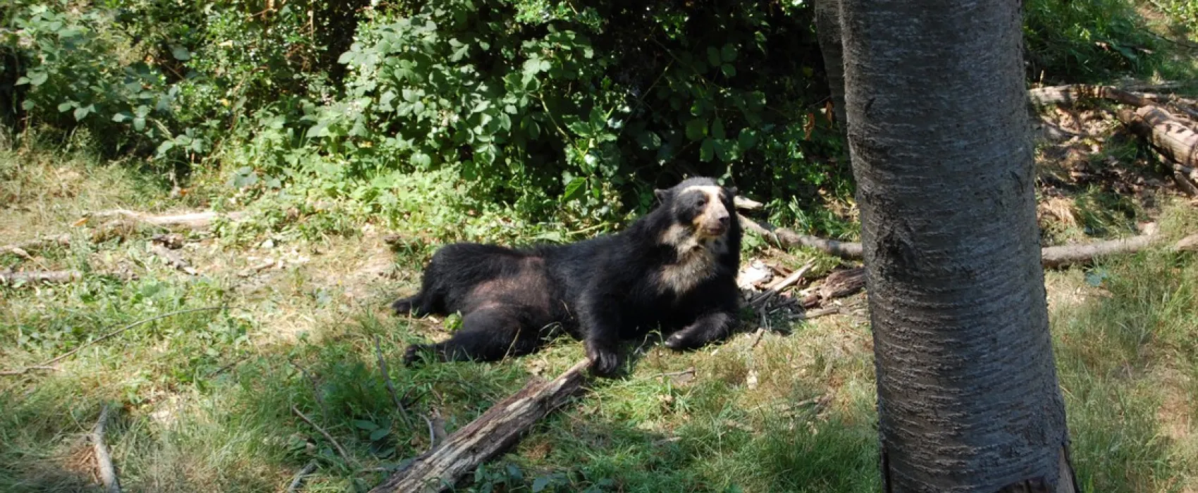 Relais du Mont Criquet