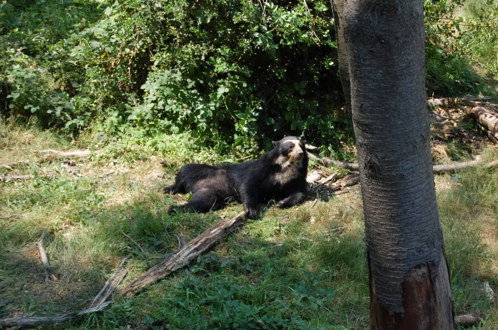 Relais du Mont Criquet