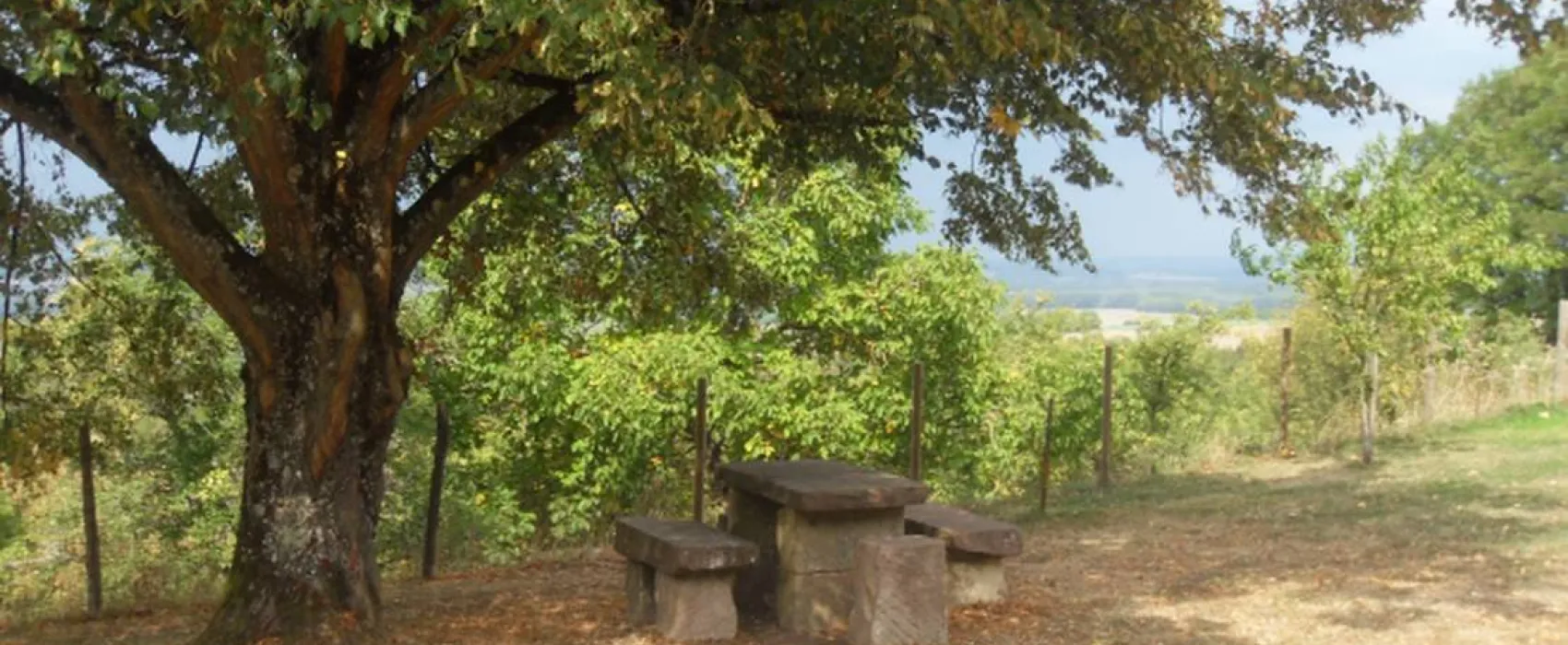 Le Chaumont - Camping rural de Collardey Claude