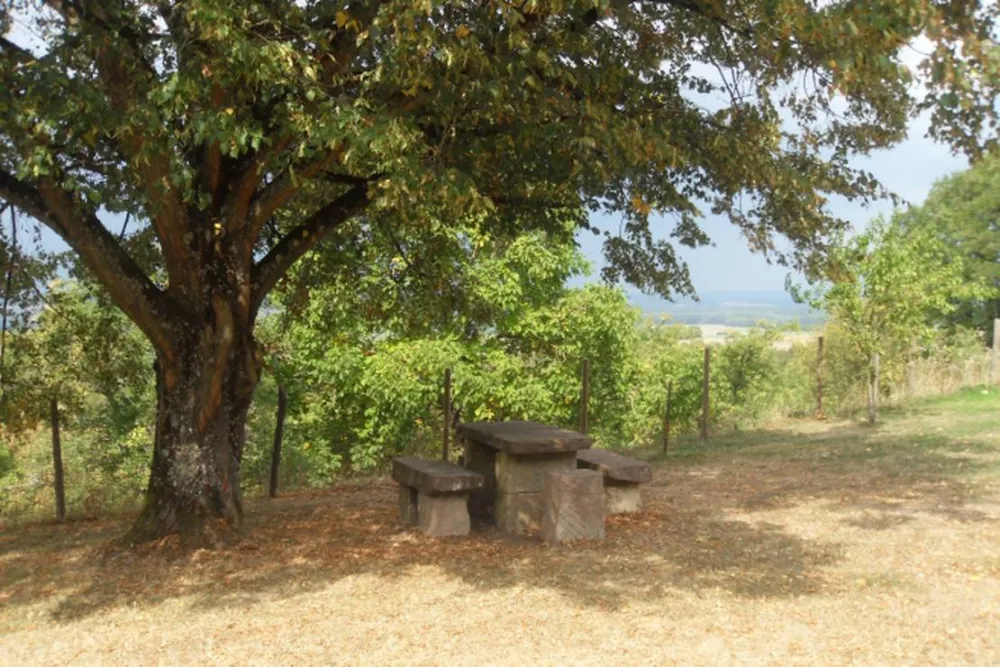 Le Chaumont - Camping rural de Collardey Claude