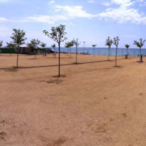 Bonamar Park