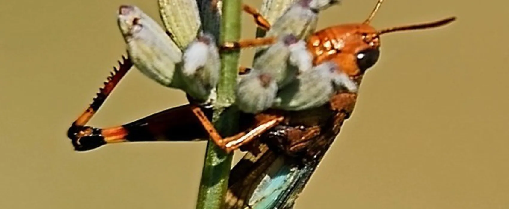 Aire Naturelle La Condamine