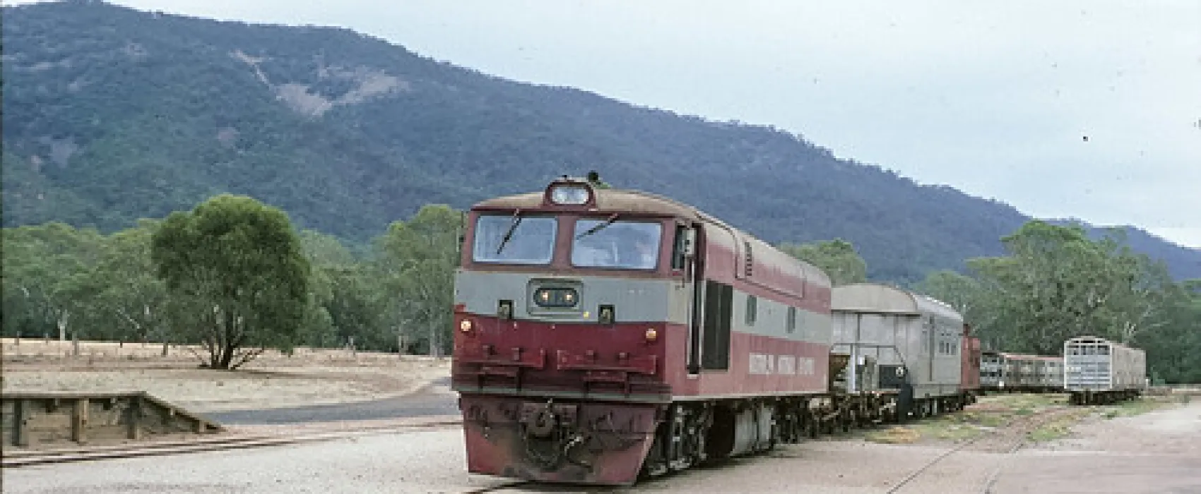 Goyders Line Memorial Campground