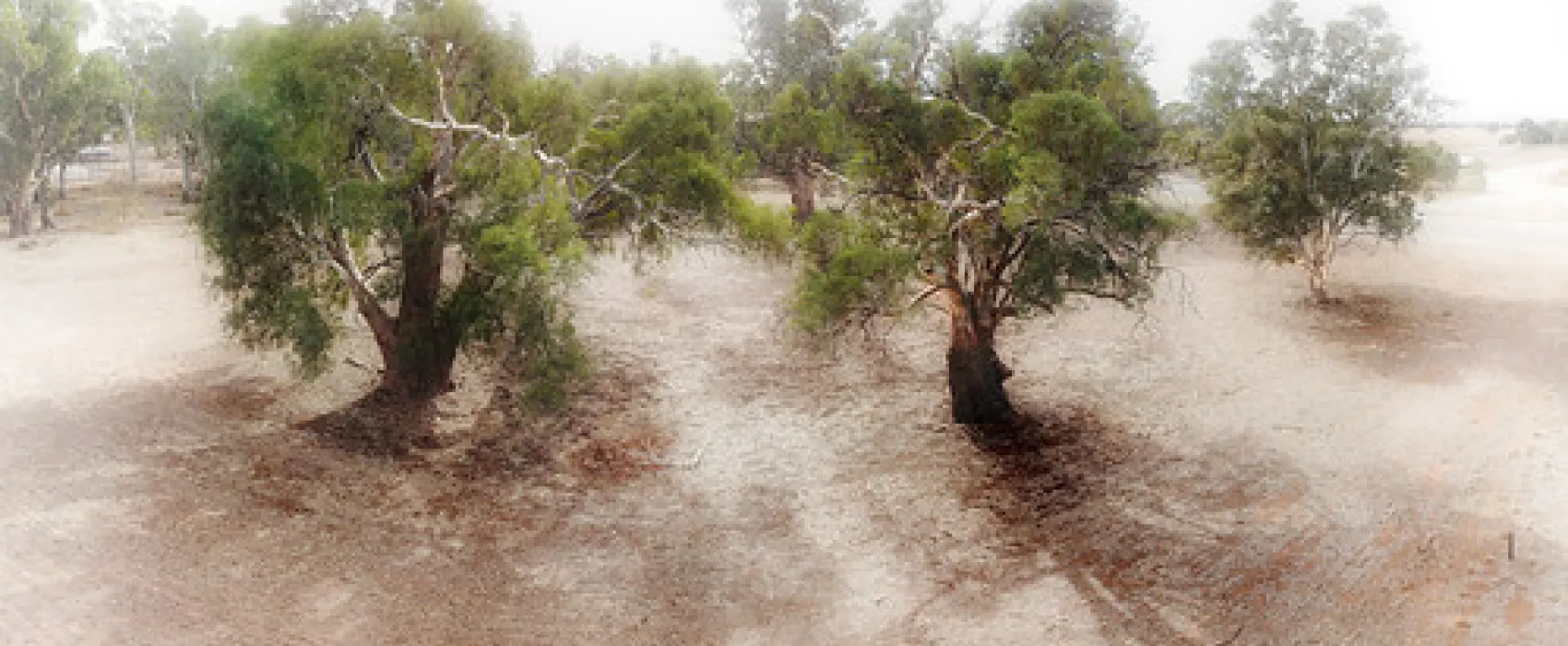 Goyders Line Memorial Campground