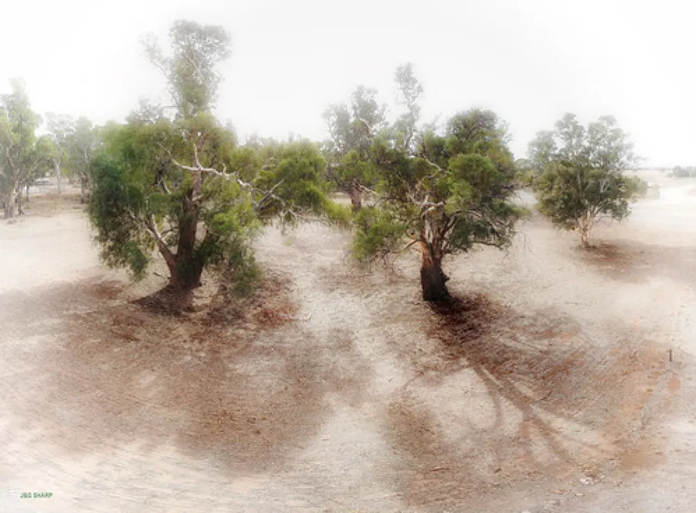 Goyders Line Memorial Campground