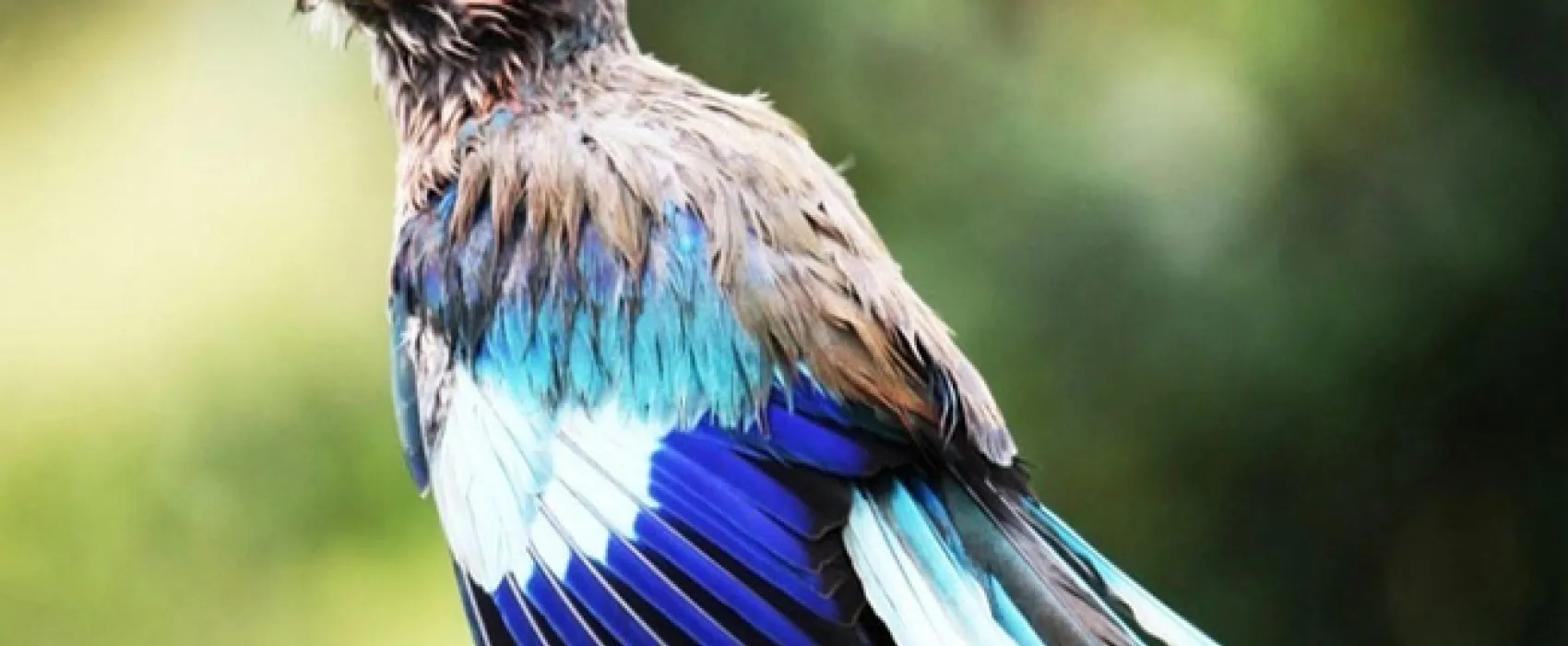 Silwerrand Guest Farm