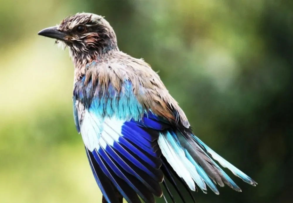 Silwerrand Guest Farm