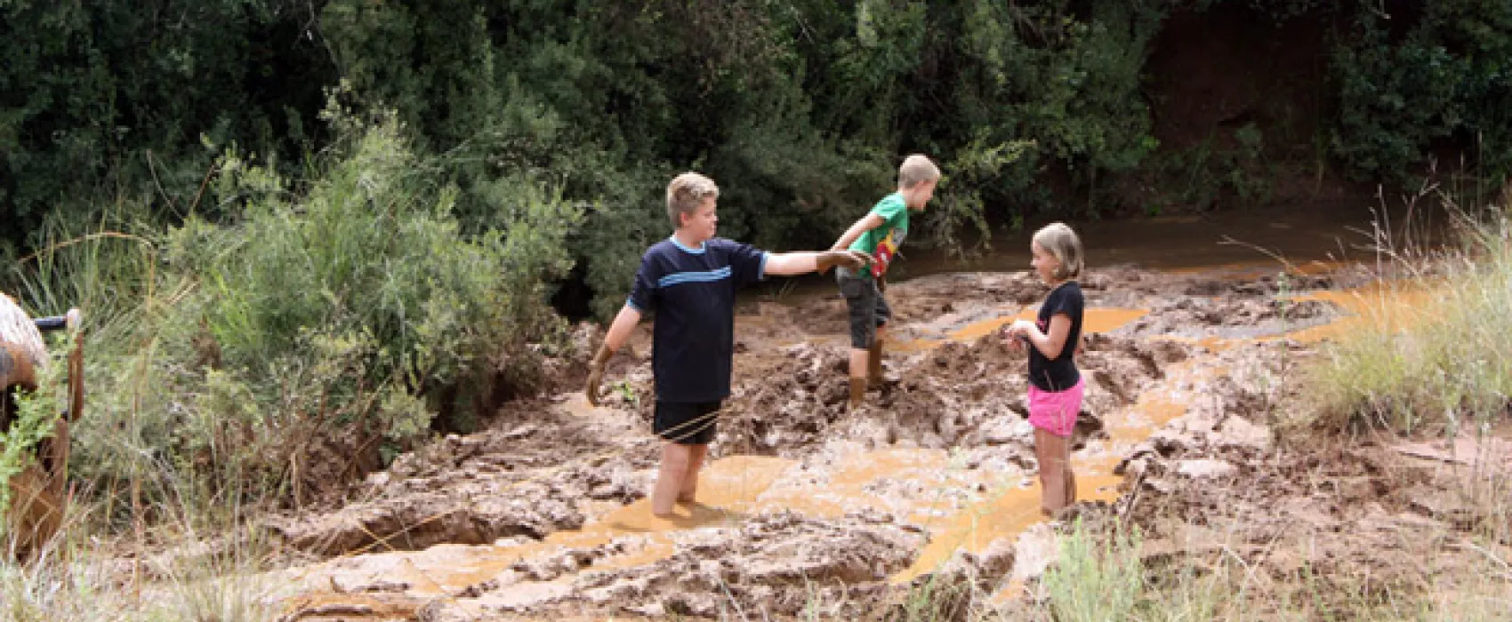 Silwerrand Guest Farm