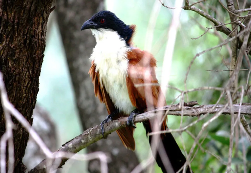 Silwerrand Guest Farm