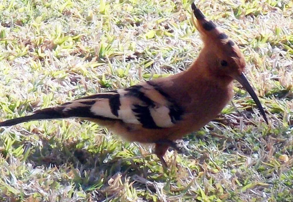 Silwerrand Guest Farm