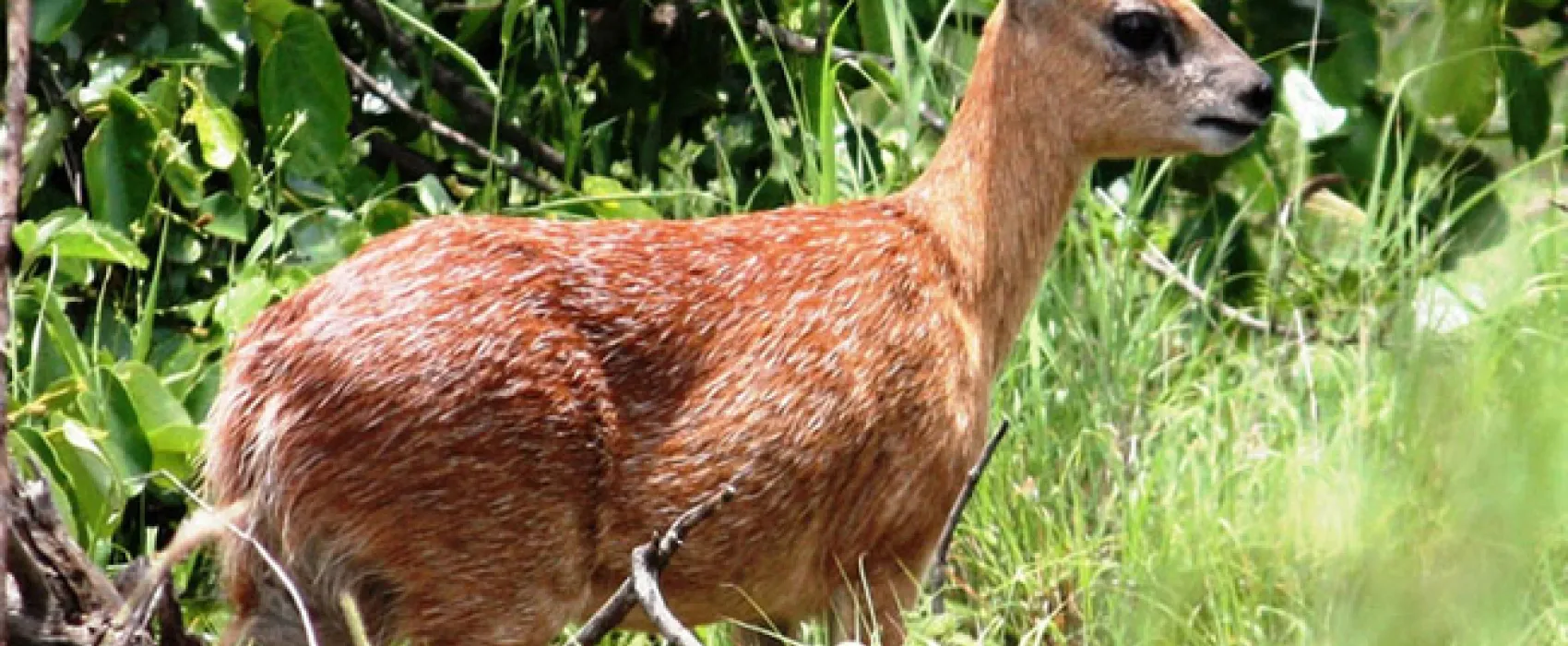 Silwerrand Guest Farm