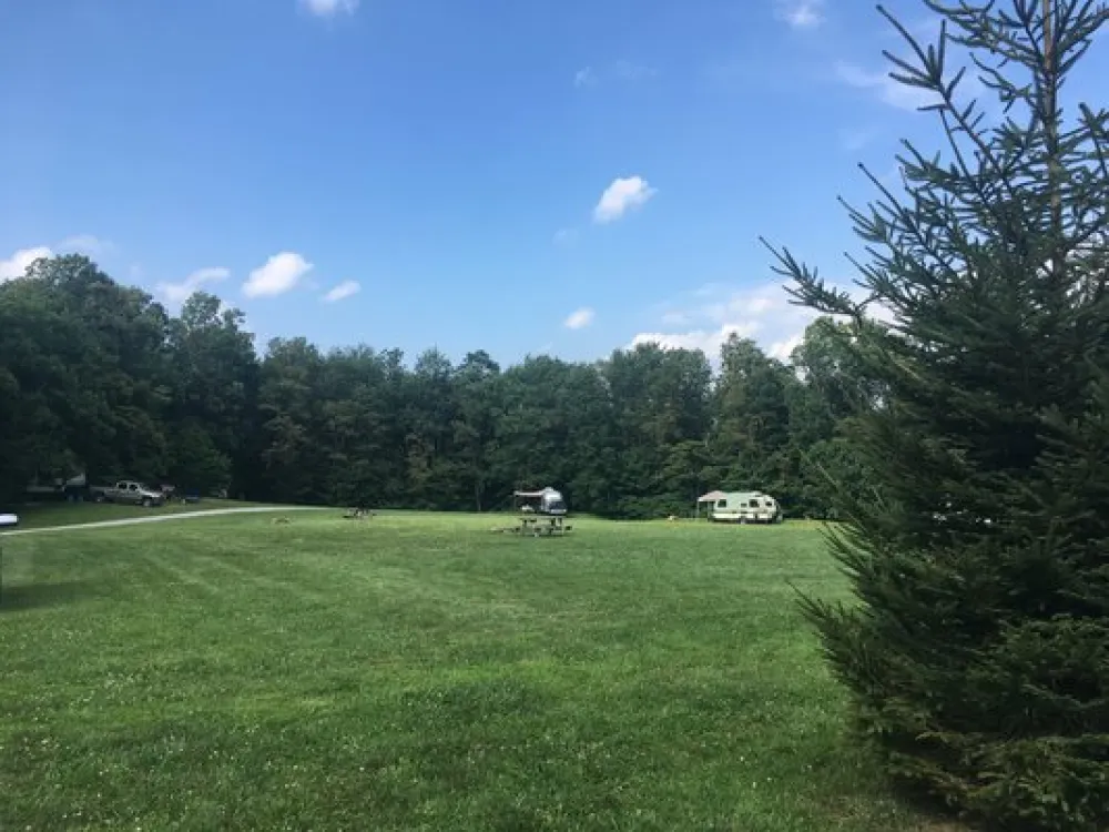 Blue Bear Mountain Camp