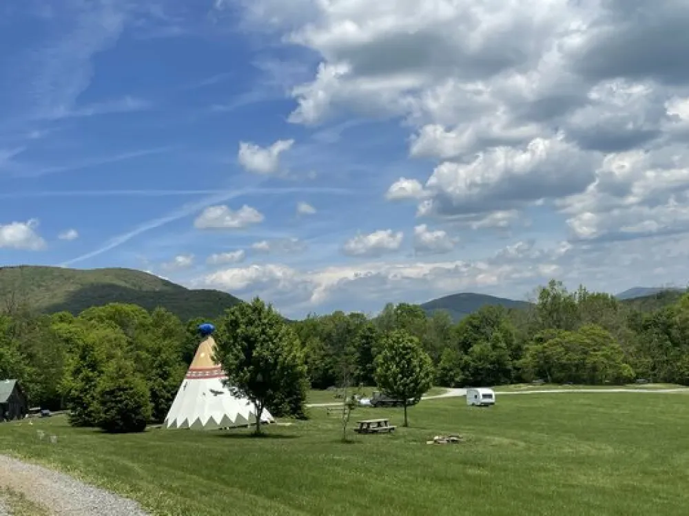 Blue Bear Mountain Camp