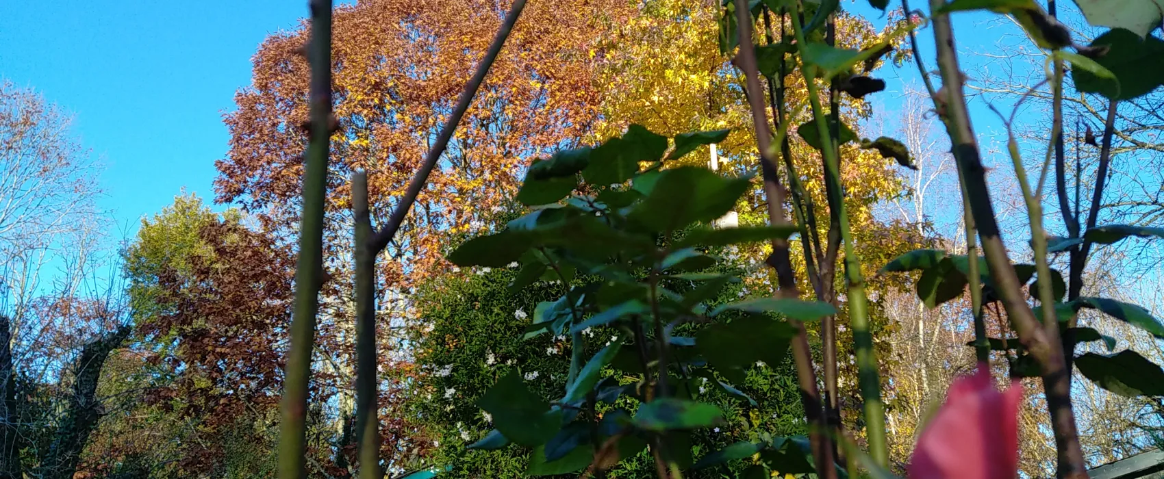 Les Jardins de l'Adour