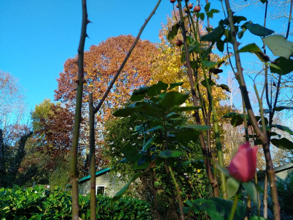 Les Jardins de l'Adour