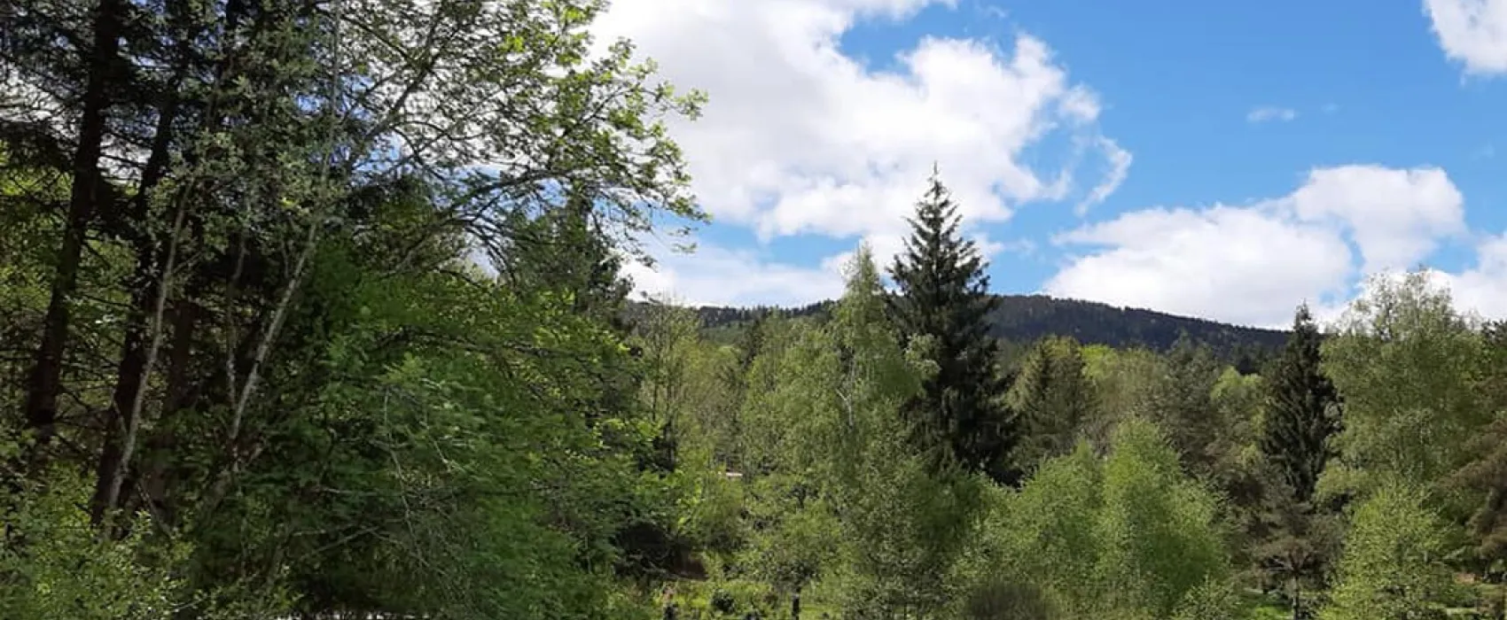 , Gites & Bistro le Paradou