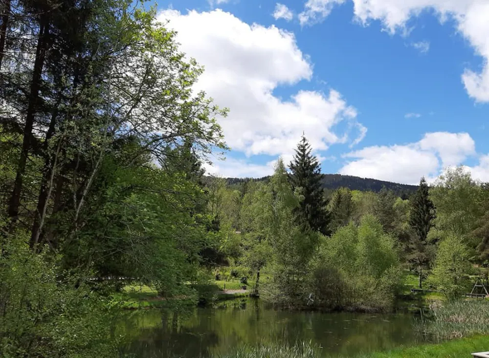 , Gites & Bistro le Paradou