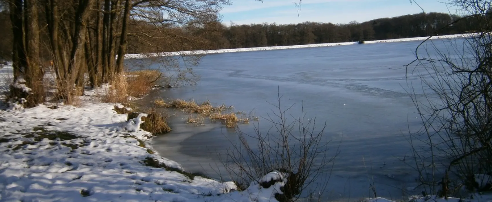 Heisterberger Weiher