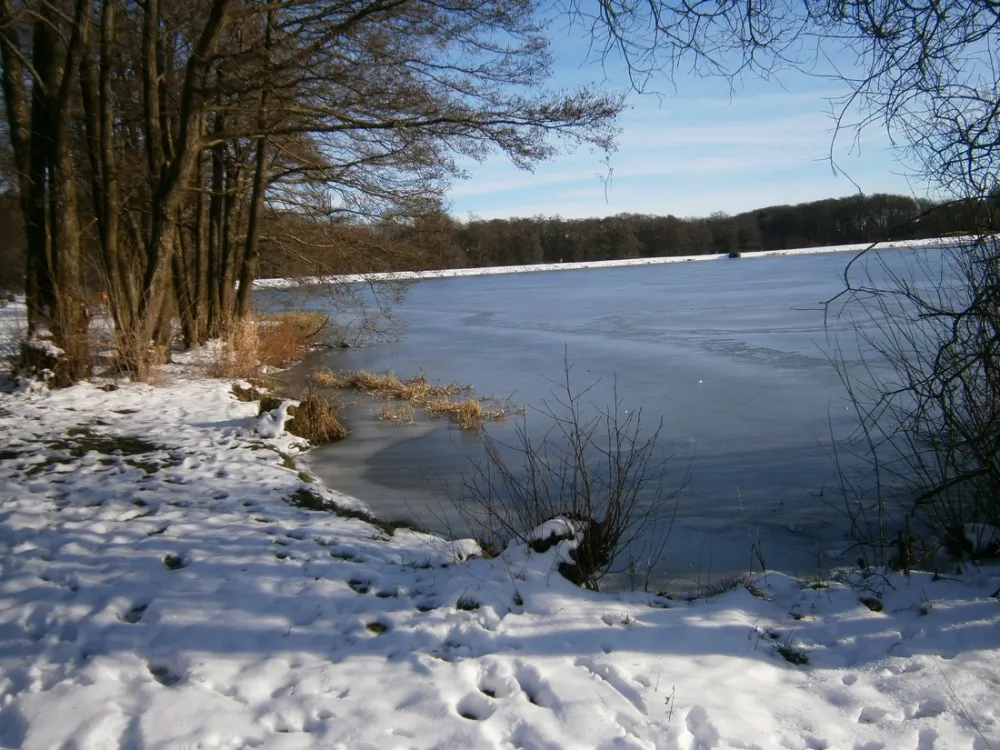 Heisterberger Weiher