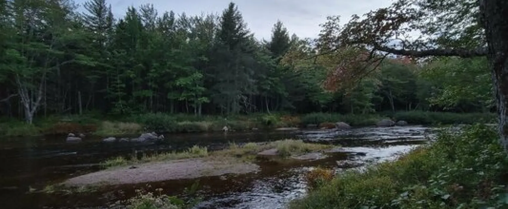 Airline Rips Campsite