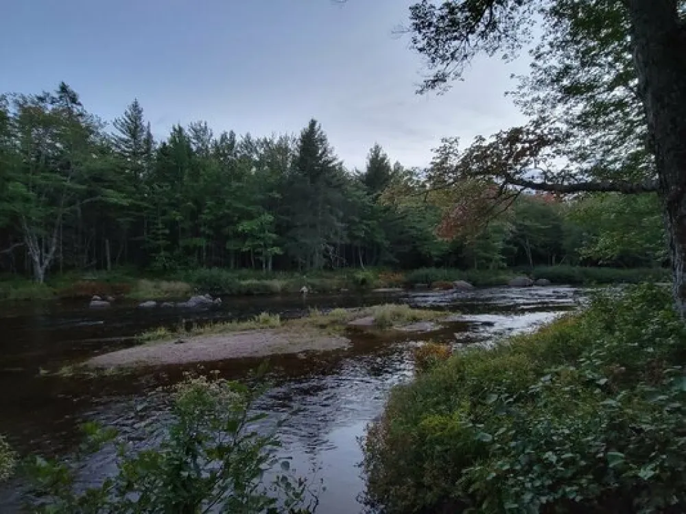 Airline Rips Campsite