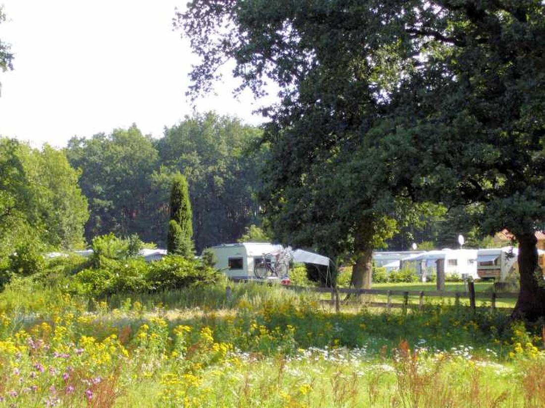 heizlfter zelt GO SYSTEM Heizlfter Gas Heizstrahler Camping Vor Zelt Heizung Keramik