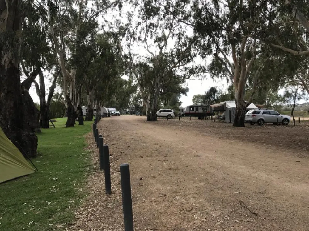 Mannum Campground