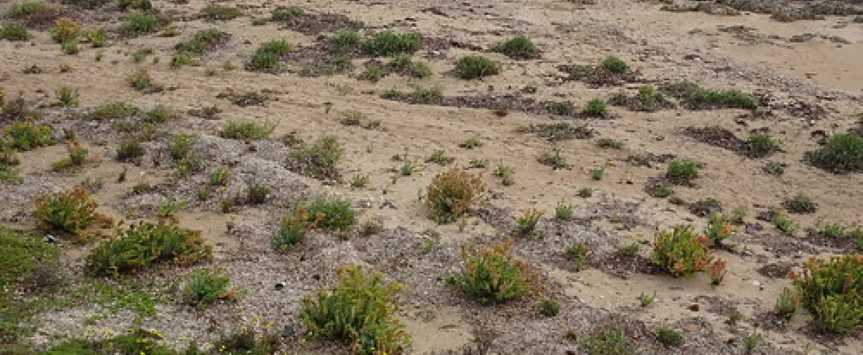 Wallaroo Overnight Camping Area Campground
