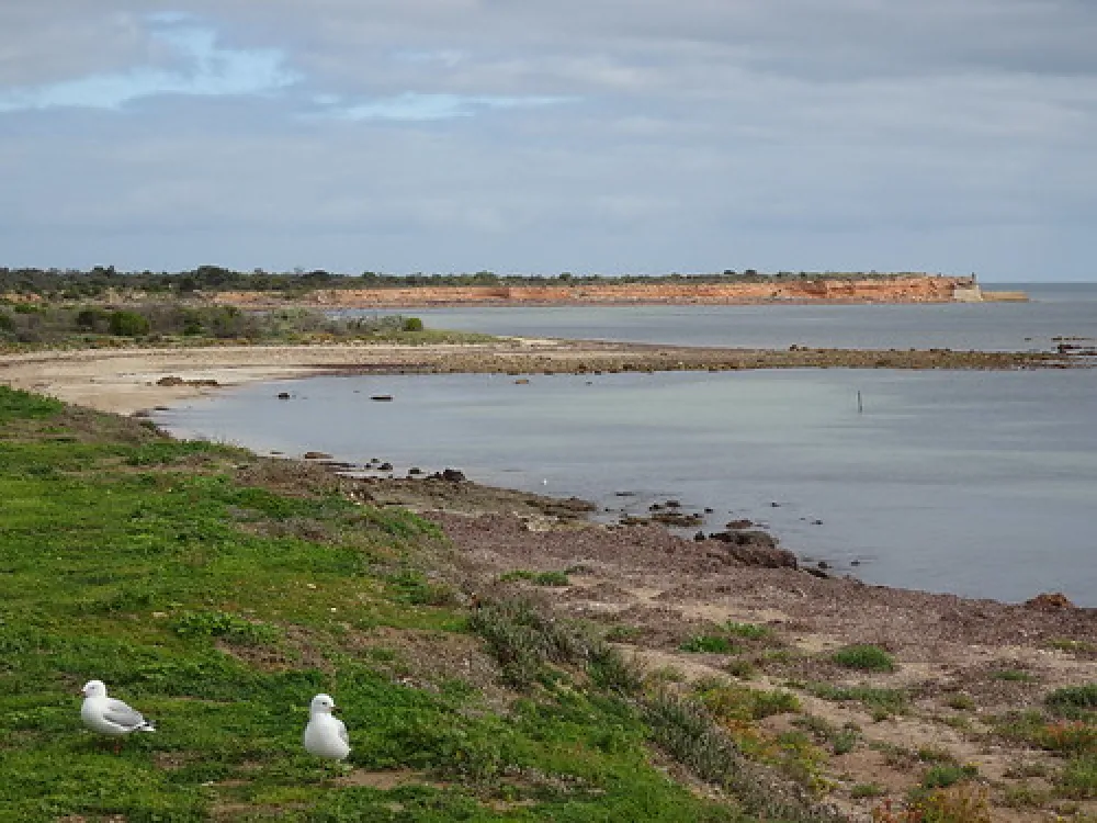 Wallaroo Overnight Camping Area Campground