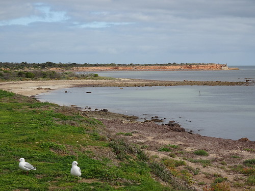 Wallaroo Overnight Camping Area Campground