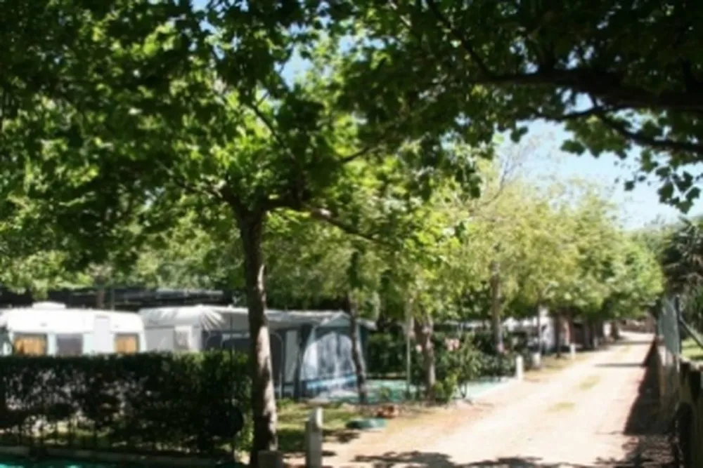 Camping las Cañadas